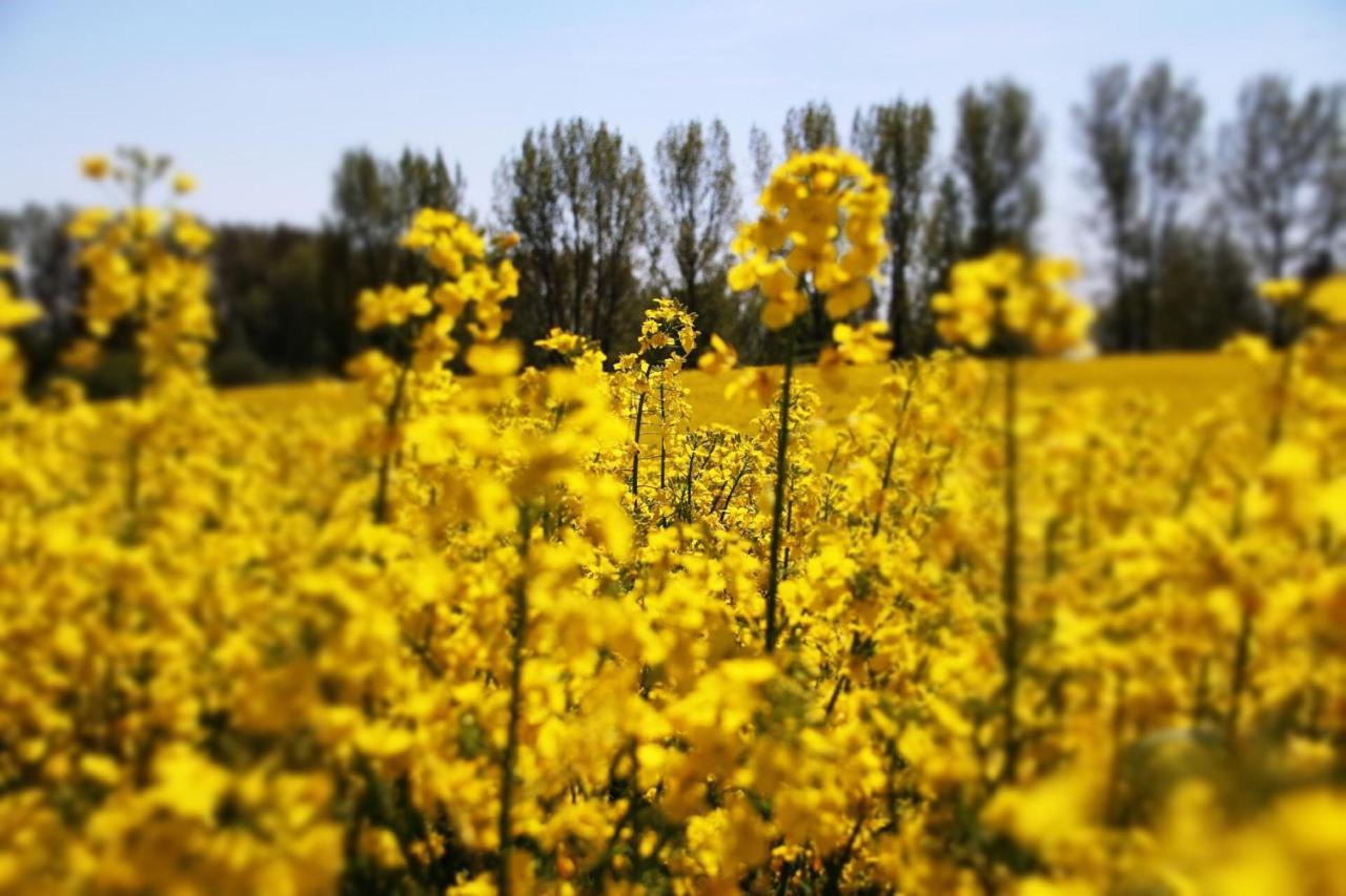 Ferien_Villa Felicita เกอห์เรน-เลบบิน ภายนอก รูปภาพ
